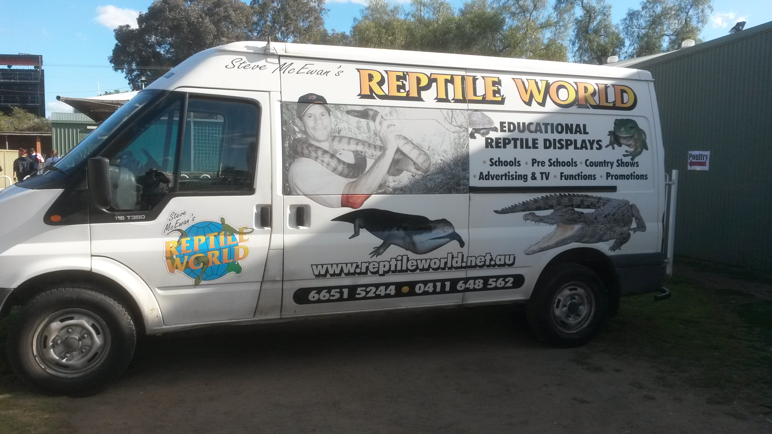 Reptile World
